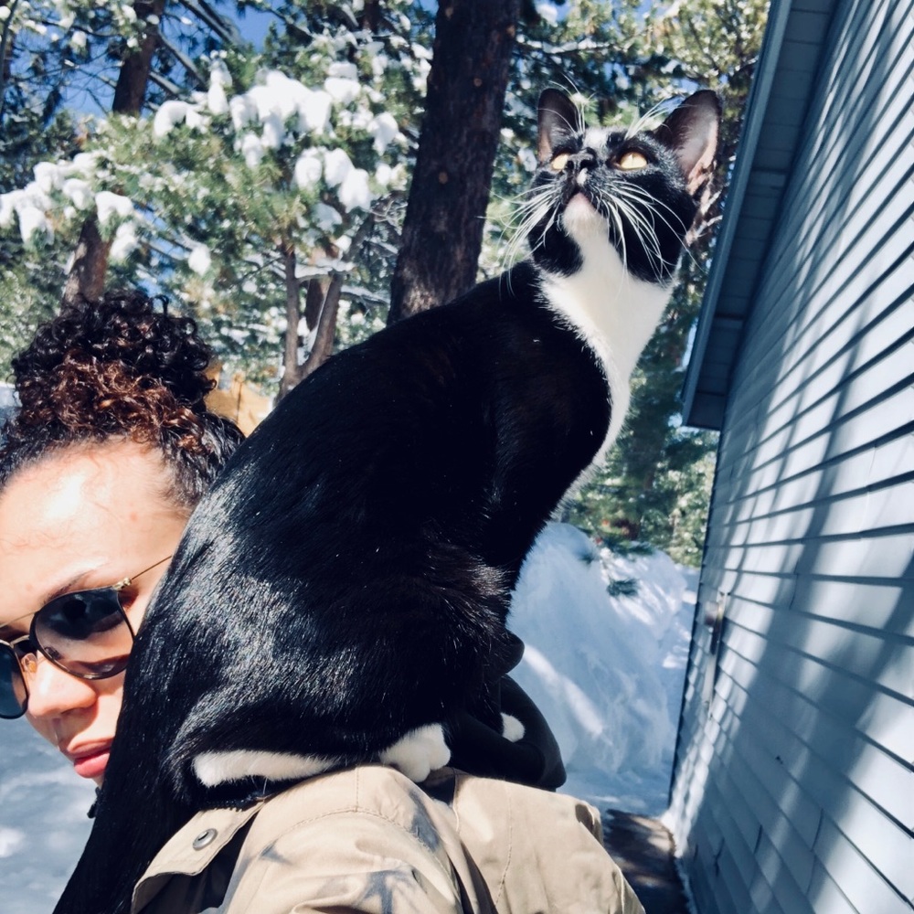 Meet your Posher, Marissa